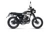 Mash Scrambler 50