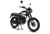 Mash Scrambler 50