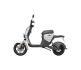 Segway B110S