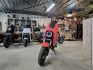 Segway B110s